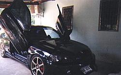 chanvip
