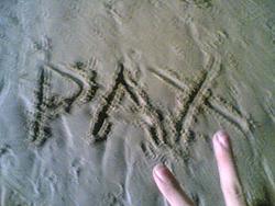 Paxiipax