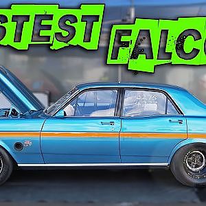 Worlds Fastest Falcon? - Nearly 200mph!