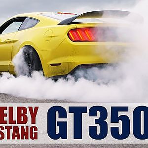 Shelby Mustang GT350R On Track & Killing Tyres [Plus Giveaway]