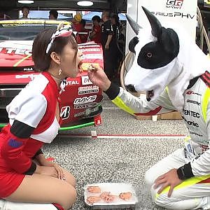2019 AUTOBACS SUPER GT Rd.7 SPORTSLAND SUGO All Drivers Appearance