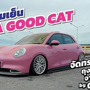 แมวนมเย็น ORA GOOD CAT จัดทรงล้อยุ่น ถุงลมเนียนๆ จาก Design by OH ชลบุรี
