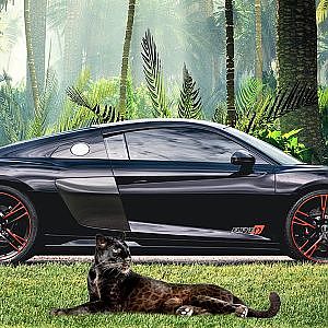 RAREST R8 IN NORTH AMERICA BUILT TO 1300WHP | 1 OF 30 Panther Edition