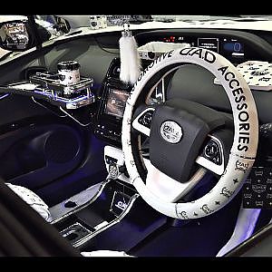 (4K)DAD TOYOTA PRIUS modified ギャルソン プリウス カスタム