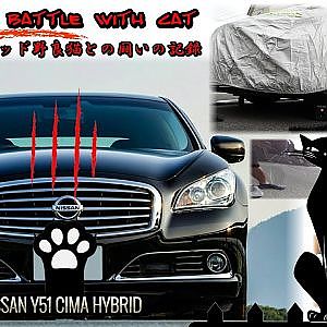 NISSAN Y51 CIMA HYBRID history of battle with stray cat - シーマハイブリッド・野良猫との縄張り争いの記録